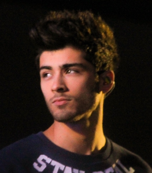 Zayn Performs at 2014 Concert