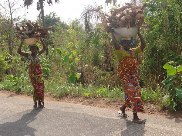 Agriculture in Ivory Coast