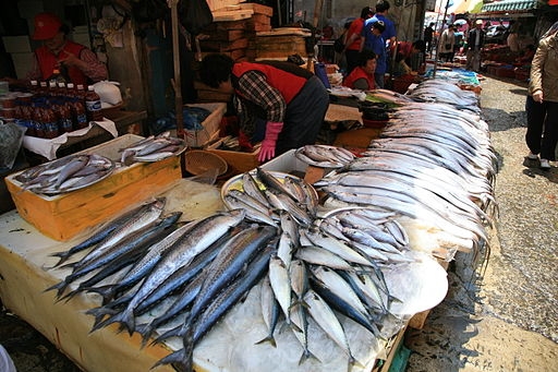 Fish Market