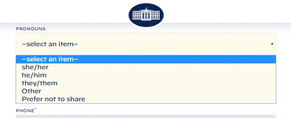 A screengrab of the White House's contact form