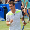 Andy Murray Competes in Aegon Championships