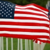 American Flags Wave In The Wind
