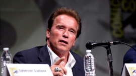 Arnold Schwarzenegger Attends Comic-Con