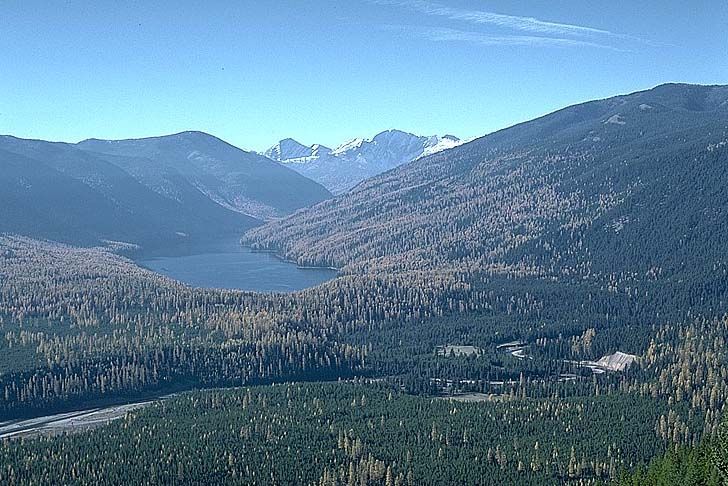 Flathead National Forest