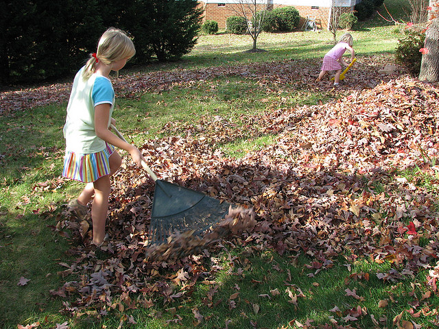 Raking leaves