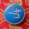 North Korean Taekwondo National Team Emblem