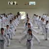Taekwondo Honduras