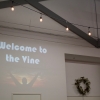 Young Nak Celebration Church hosts series-based bible studies for their singles ministry called The Vine