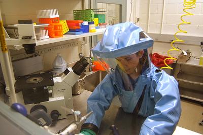 Researcher working on Ebola