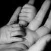 baby holding a parent's hand