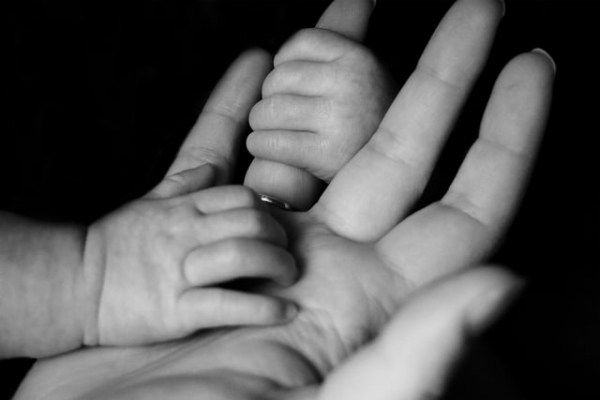 baby holding a parent's hand