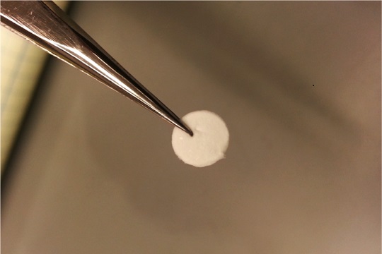 wafer-like vaccines from the University of Minnesota