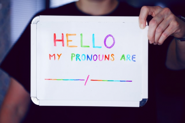 pronoun LGBT madness he him she her