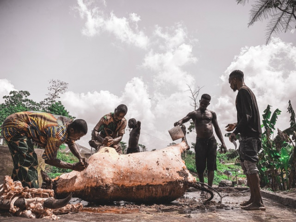 Nigerians standing near an animal