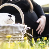 pregnant woman sitting on grass beside basket with a teddy bear
